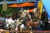 Braunfelser Spektakulum