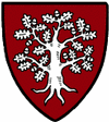Hammaborg