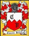Castra Vita e.V.