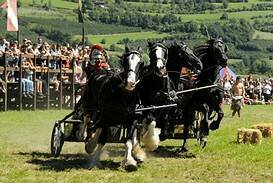 Streitwagenrennen