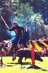 Wimpfener Stauferfest