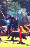 Wimpfener Stauferfest